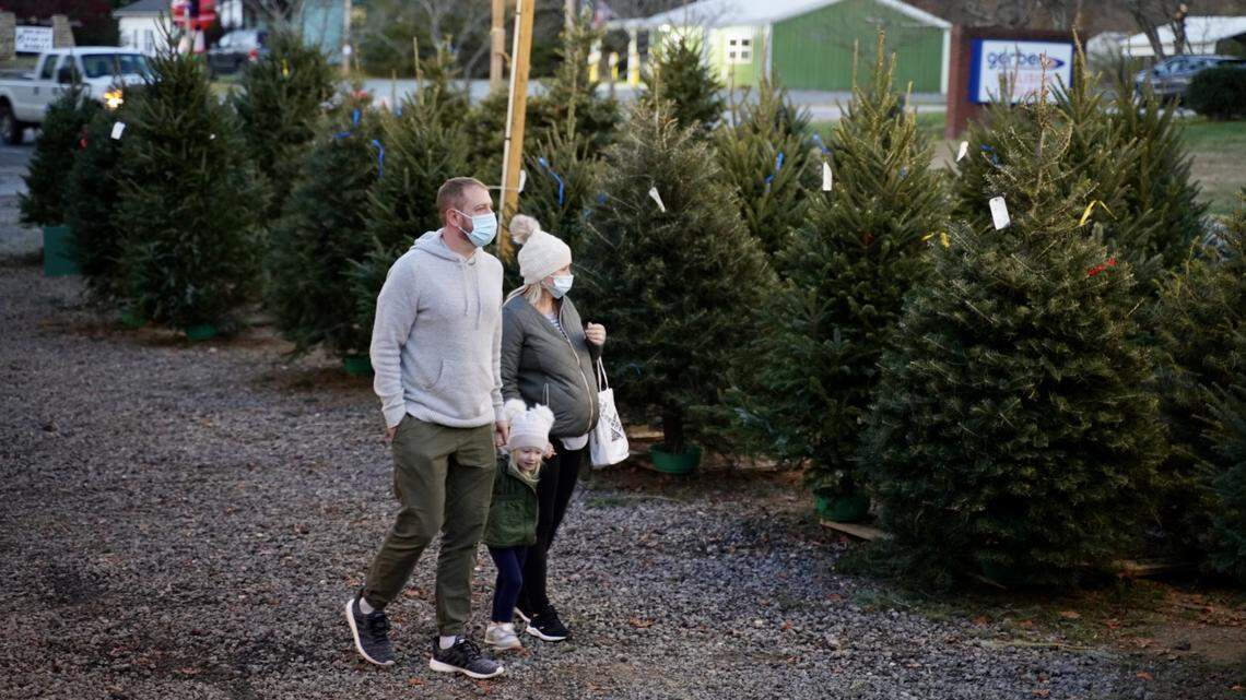 Grouse Ridge Christmas Tree Farm is selling Christmas trees at Dearness Gardens in Huntersville.