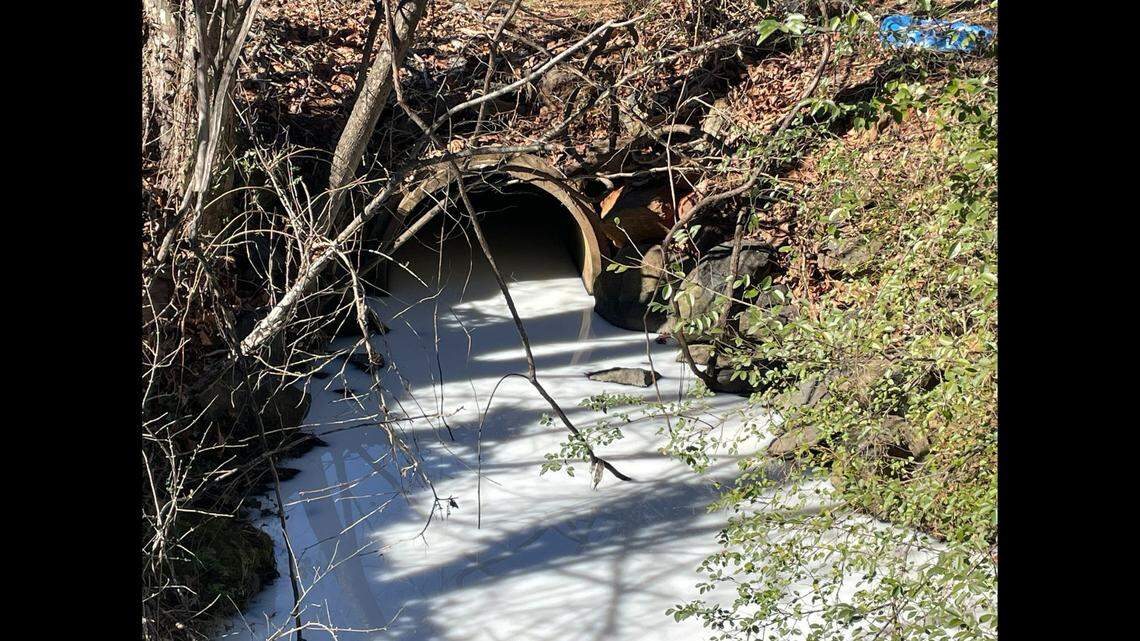 A creek mysteriously turned white as it flowed past homes in Virginia and investigators say it proved to be countless gallons free flowing milk.