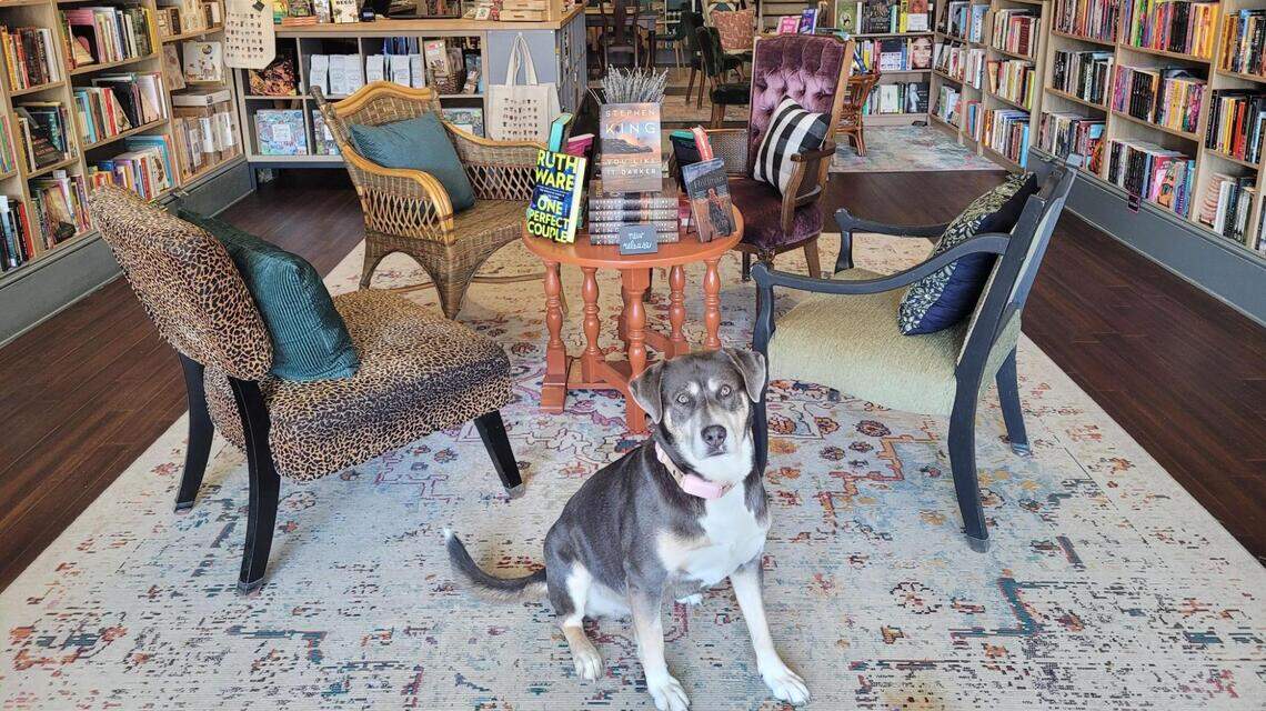 26 independent bookstores in the Charlotte area where you can get lost in the pages