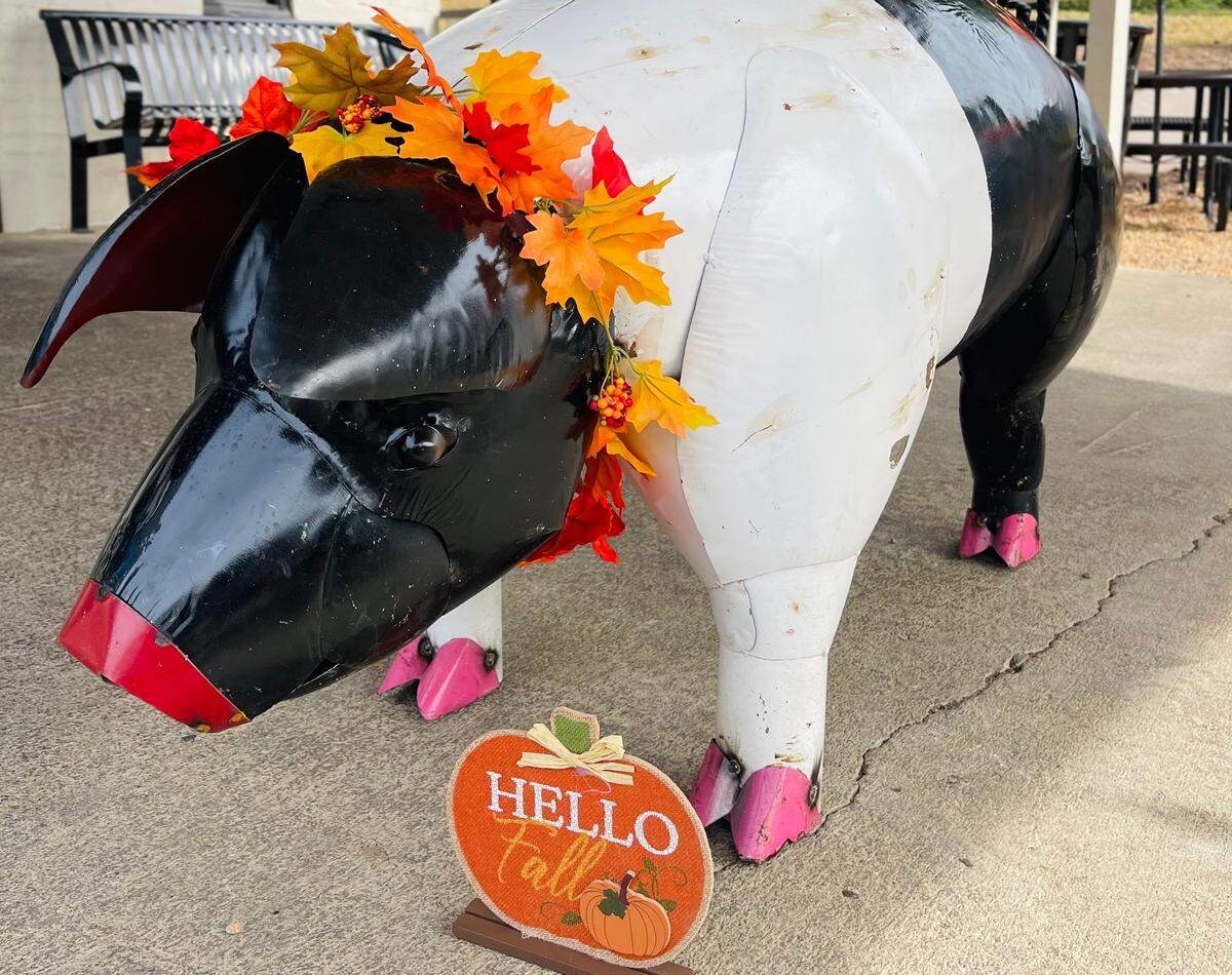 Customers helped name The Notorious P.I.G., who greets guests outside The Crazy Pig.