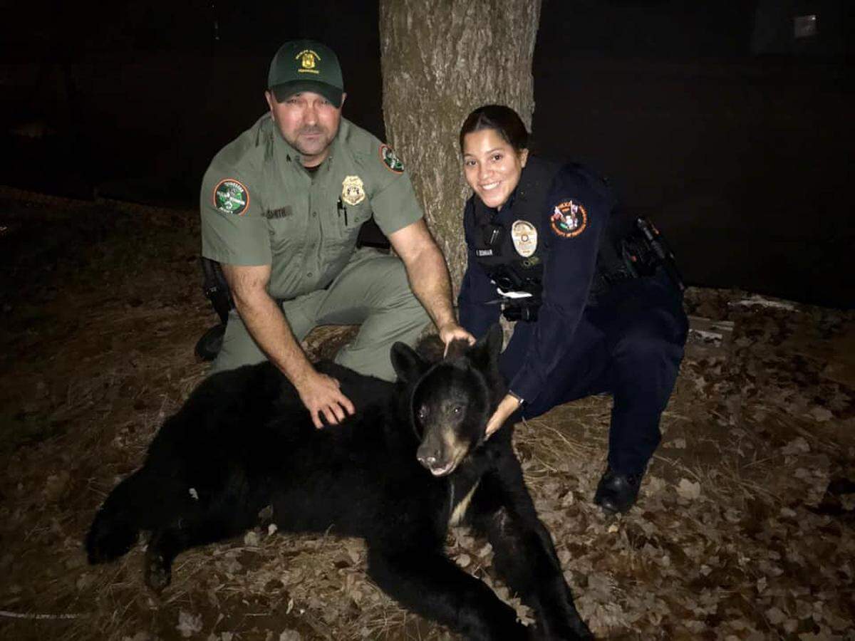 A bear got itself stuck in the University of Tennessee’s baseball stadium early Sunday morning, wildlife officials say.
