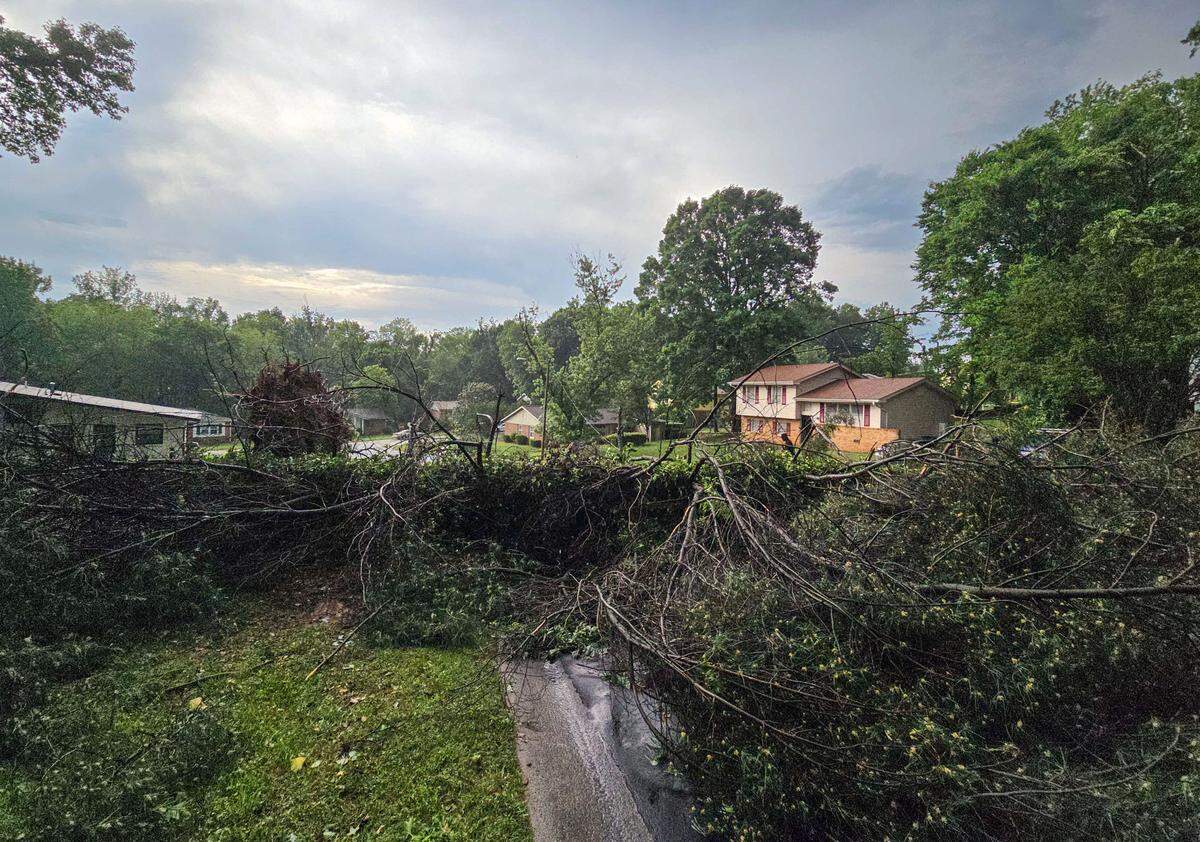 A downed tree blocks Northbrook Drive in Charlotte Wednesday afternoon, May 8, 2024. Severe storms with potentially damaging straight-line winds pummeled the Charlotte region on Wednesday, with a chance of hail “larger than golf balls,” according to the National Weather Service.