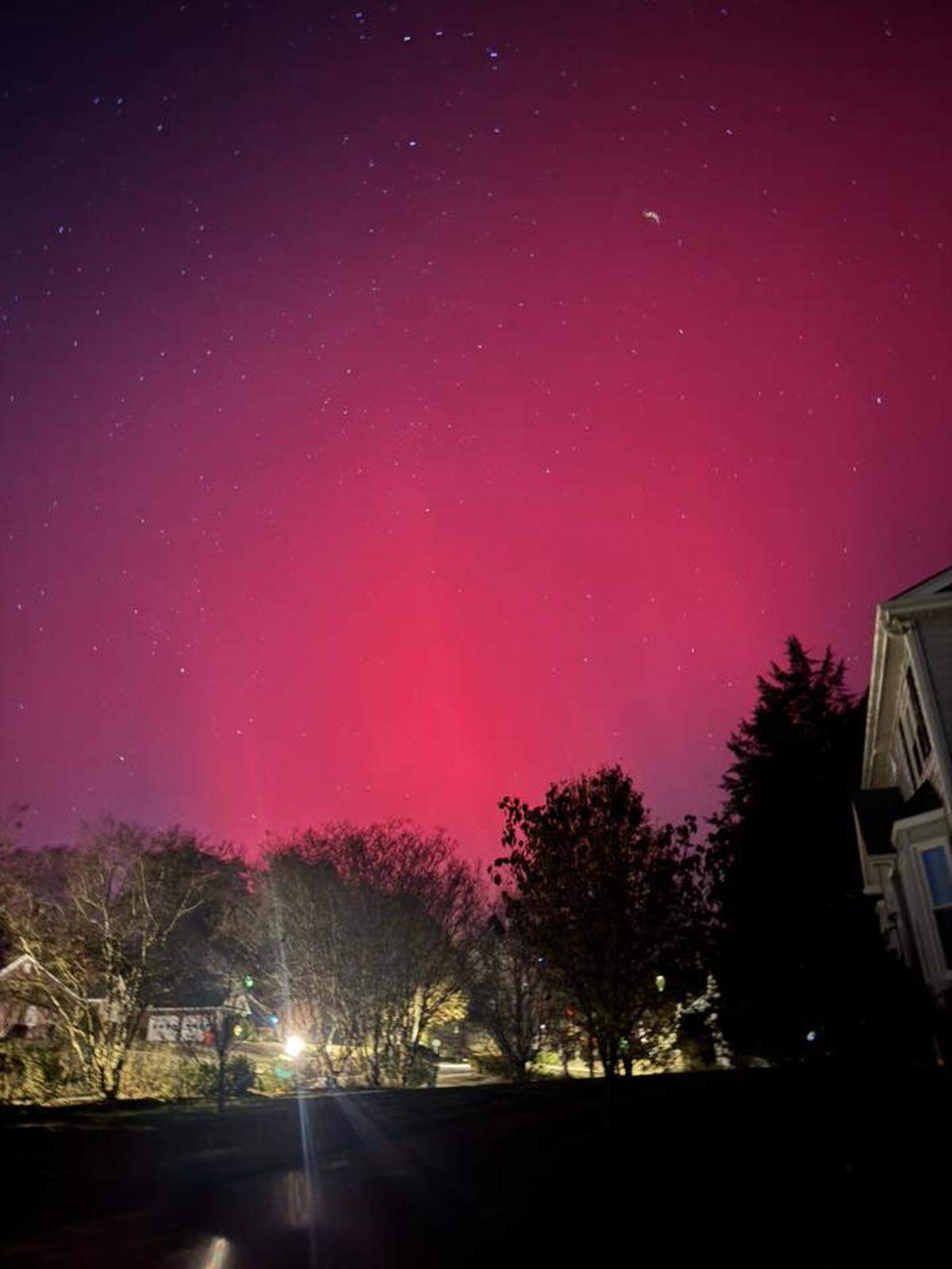 A vertical nighttime photo of the aurora borealis dominating the sky with a bright, solid band of deep pink and magenta light. The sky is dark above and clearly visible with many stars. The foreground shows the silhouettes of neighborhood trees and bushes, and a partial view of a large house on the right, providing a clear contrast between the suburban setting and the brilliant celestial phenomenon.