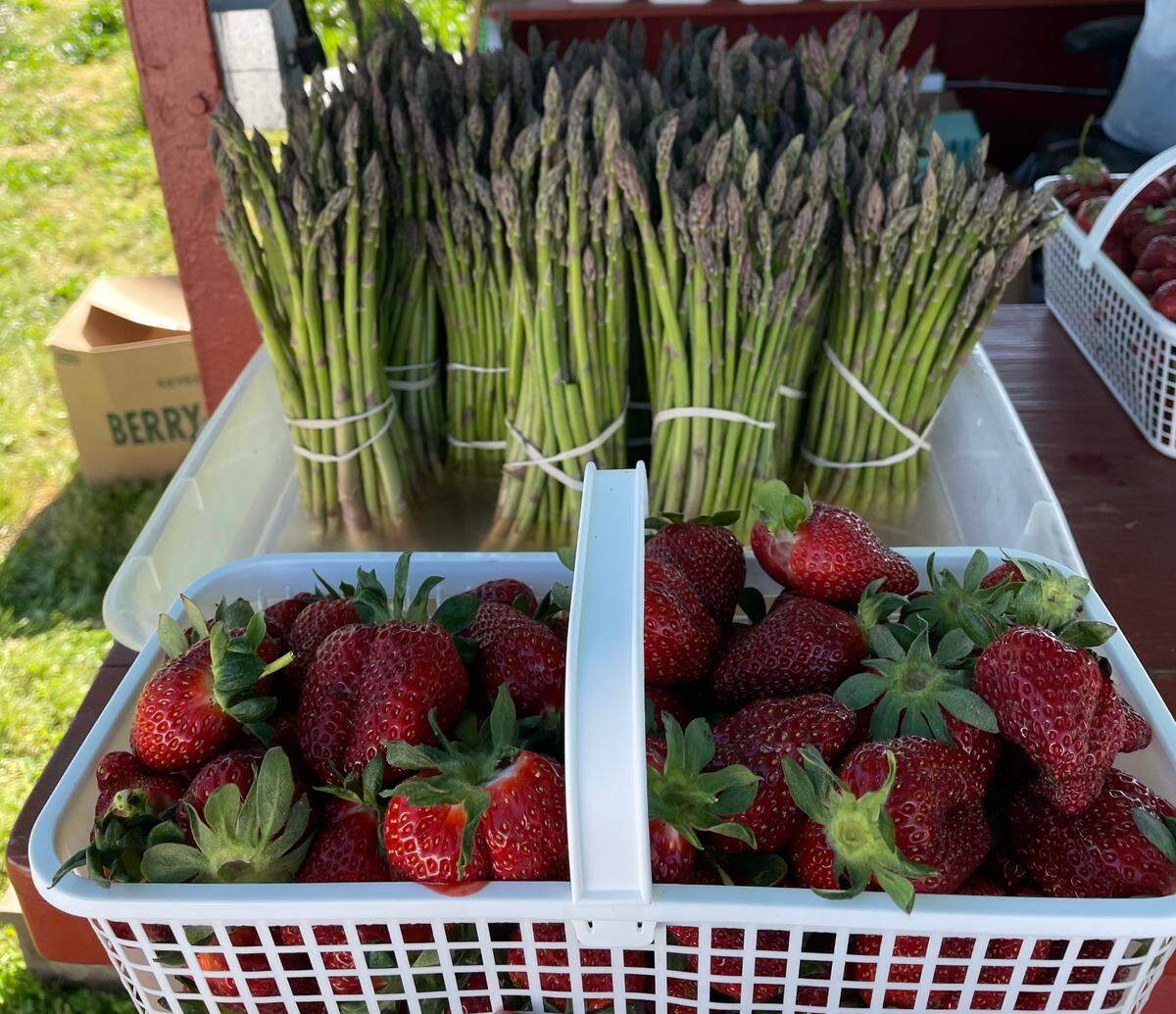 Carrigan Farms has asparagus available through early May and will open for pick-your-own strawberries starting Thursday, April 24.