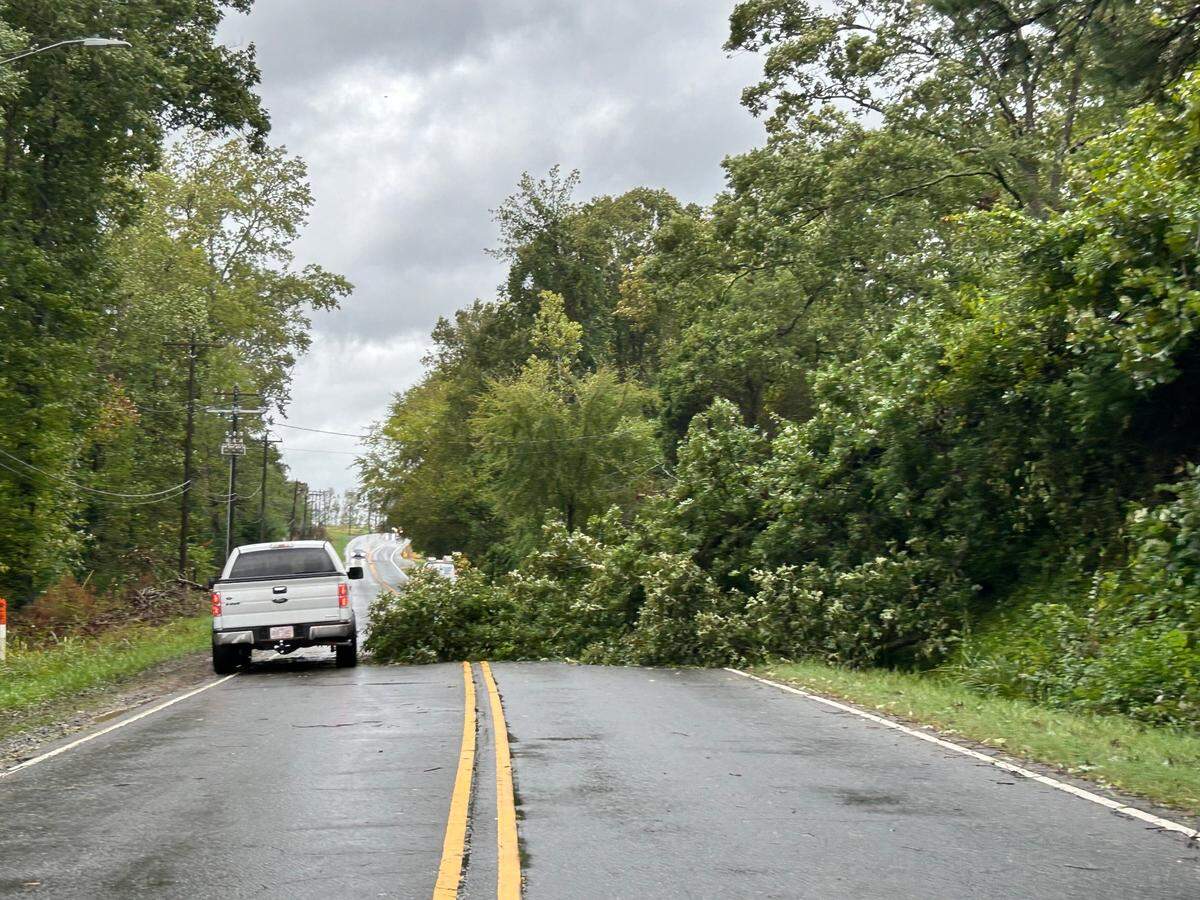 Downed tree blocks Mt. Holly Rd in Charlotte on Friday morning.