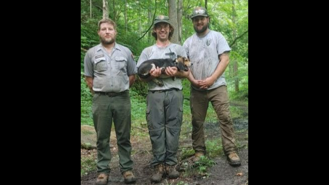 Three trail crew members at New River Gorge National Park and Preserve in West Virginia followed the sound of yelping in the woods to a dog trapped in a crevasse. The dog may have been there a week.