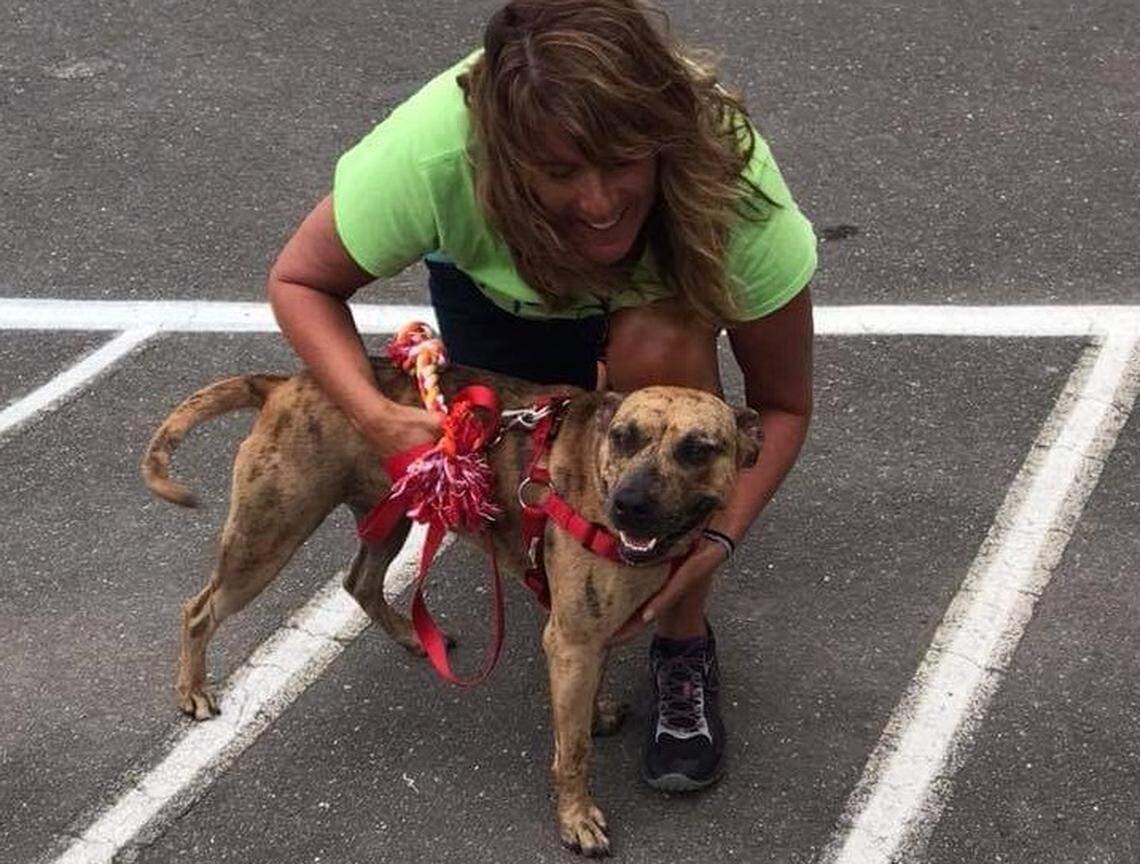 “When she gets away from the shelter, the barking, the unpredictability, the smells of other dogs and their emotions, go away and she is able to relax and not be on alert,” said Bethany Clark, volunteer coordinator for the Humane Society of York County.