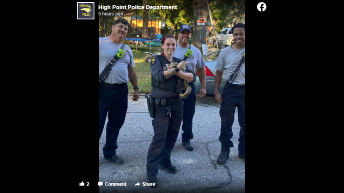 North Carolina officials estimate the snake was 3.5 to 4 feet long.