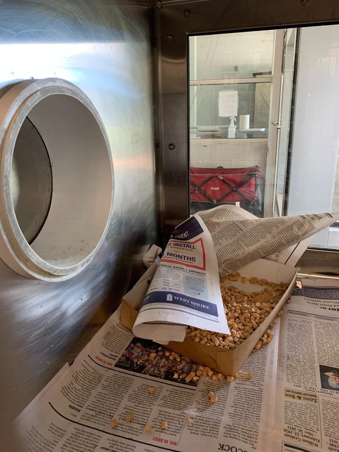 Charlotte-Mecklenburg Police’s Animal Care and Control goes through about 50 newspapers a day to line the cages of cats and small dogs.
