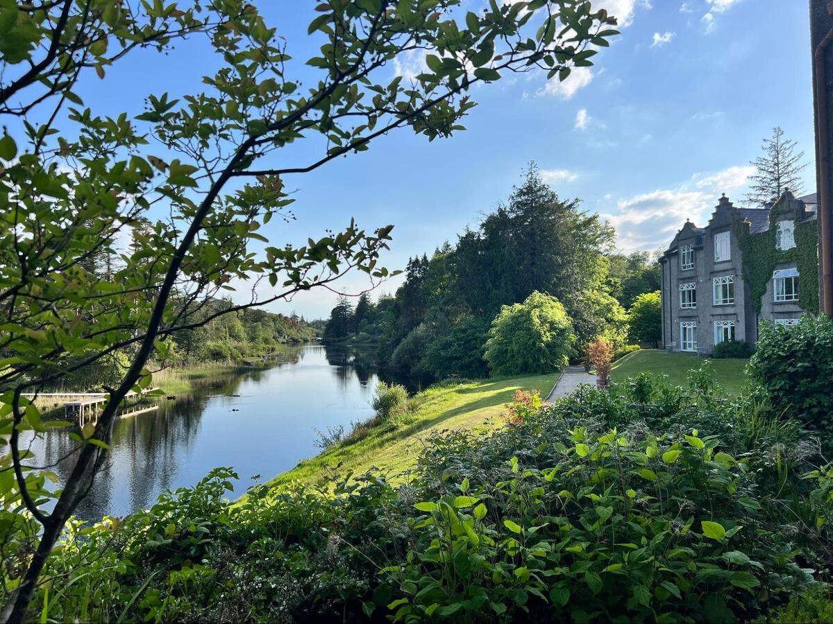 A beautiful, scenic view of a wide, calm river flowing through a lush green landscape. On the right side of the riverbank, a large, historic gray stone building with many windows is nestled among dense trees and well-manicured lawns. A small bridge is visible in the distance on the left. The scene is framed in the foreground by the green leaves and branches of a tree, under a bright blue sky with scattered clouds.