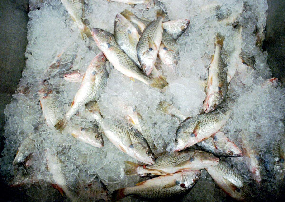 Terra Mare Market is closing at 1526 Providence Road South in Waxhaw. Seen here is a file photo of a fresh croaker at a Charlotte seafood market.