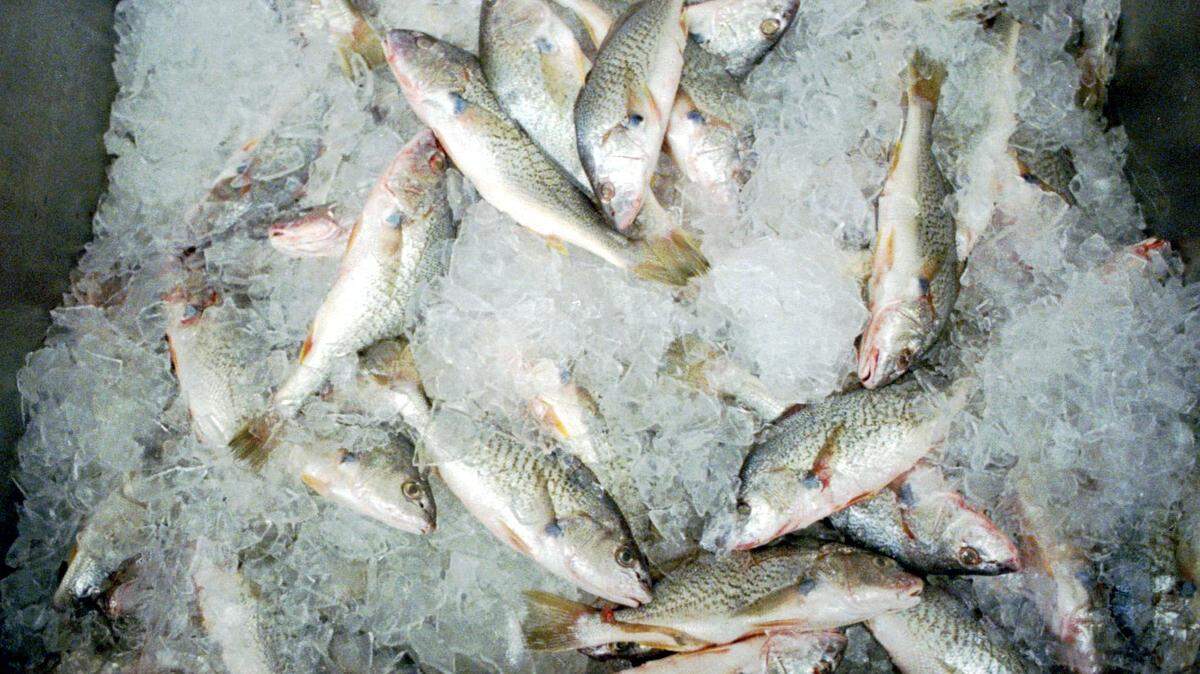 Terra Mare Market is closing at 1526 Providence Road South in Waxhaw. Seen here is a file photo of a fresh croaker at a Charlotte seafood market.
