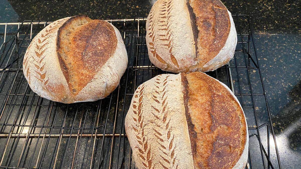 Loafs of bread baked by Providence Day athlete Luke Manna.
