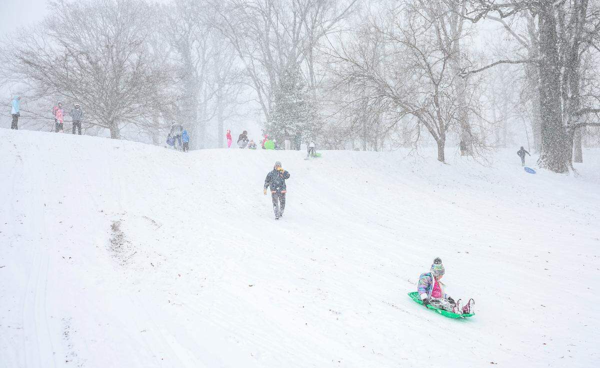 People sled in Cordelia Park in Charlotte, N.C., on Saturday, January 31, 2026.