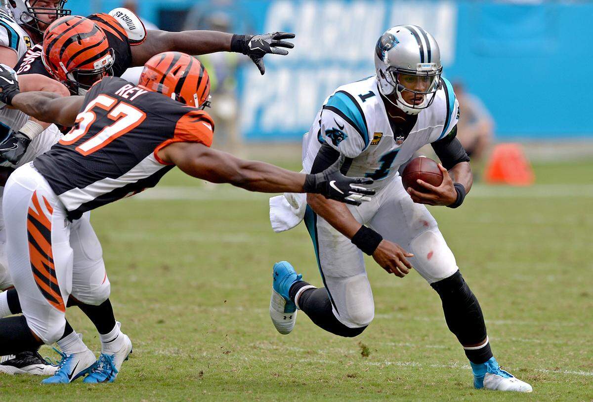 Carolina Panthers quarterback Cam Newton (1) looks for extra yardage against Cincinnati Sunday in a 31-21 win. Newton had his sixth career game with at least two rushing touchdowns Sunday.