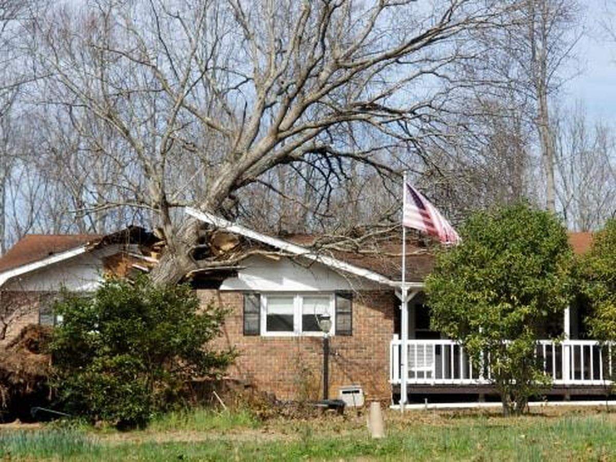 Andy Bagwell of Abbeville, S.C., took this photo on Saturday of a tree that sliced into a home when a tornado cut through town Friday night.