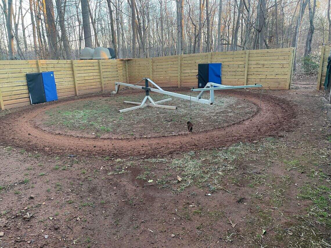 Multi-state dog-fighting ring cracked, NC sheriff says | Charlotte Observer