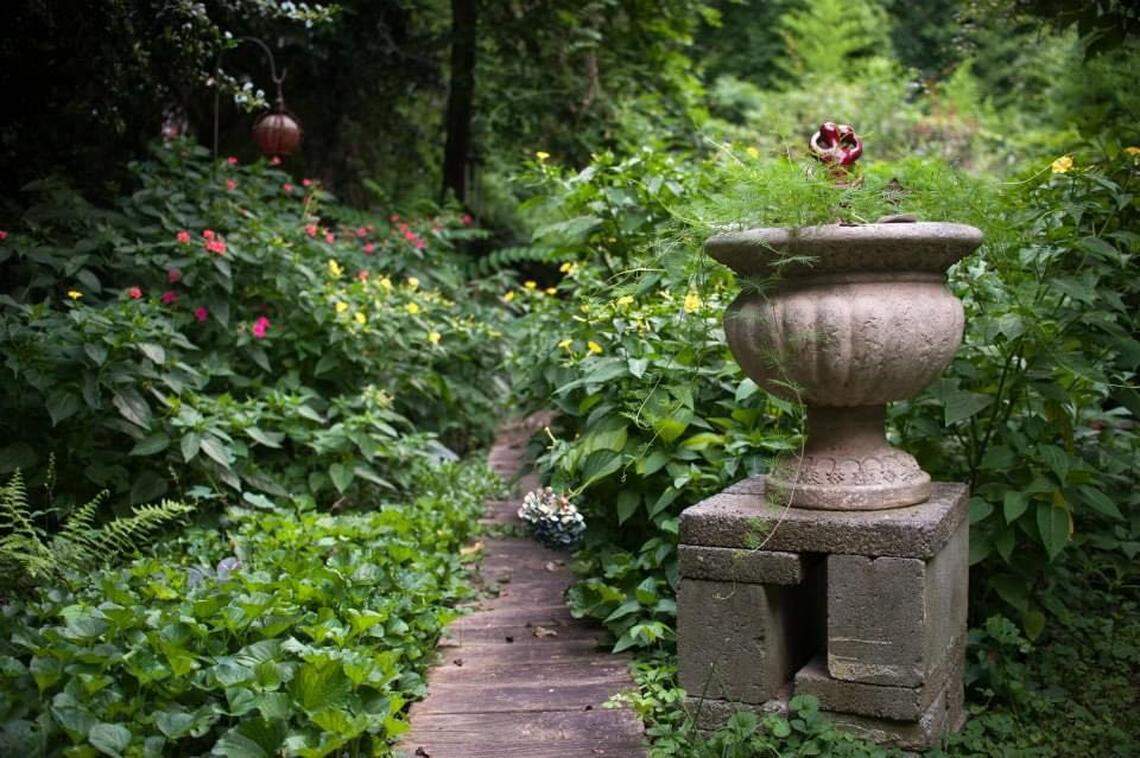 A snapshot taken in the backyard of Deborah Triplett’s old house in Plaza Midwood.