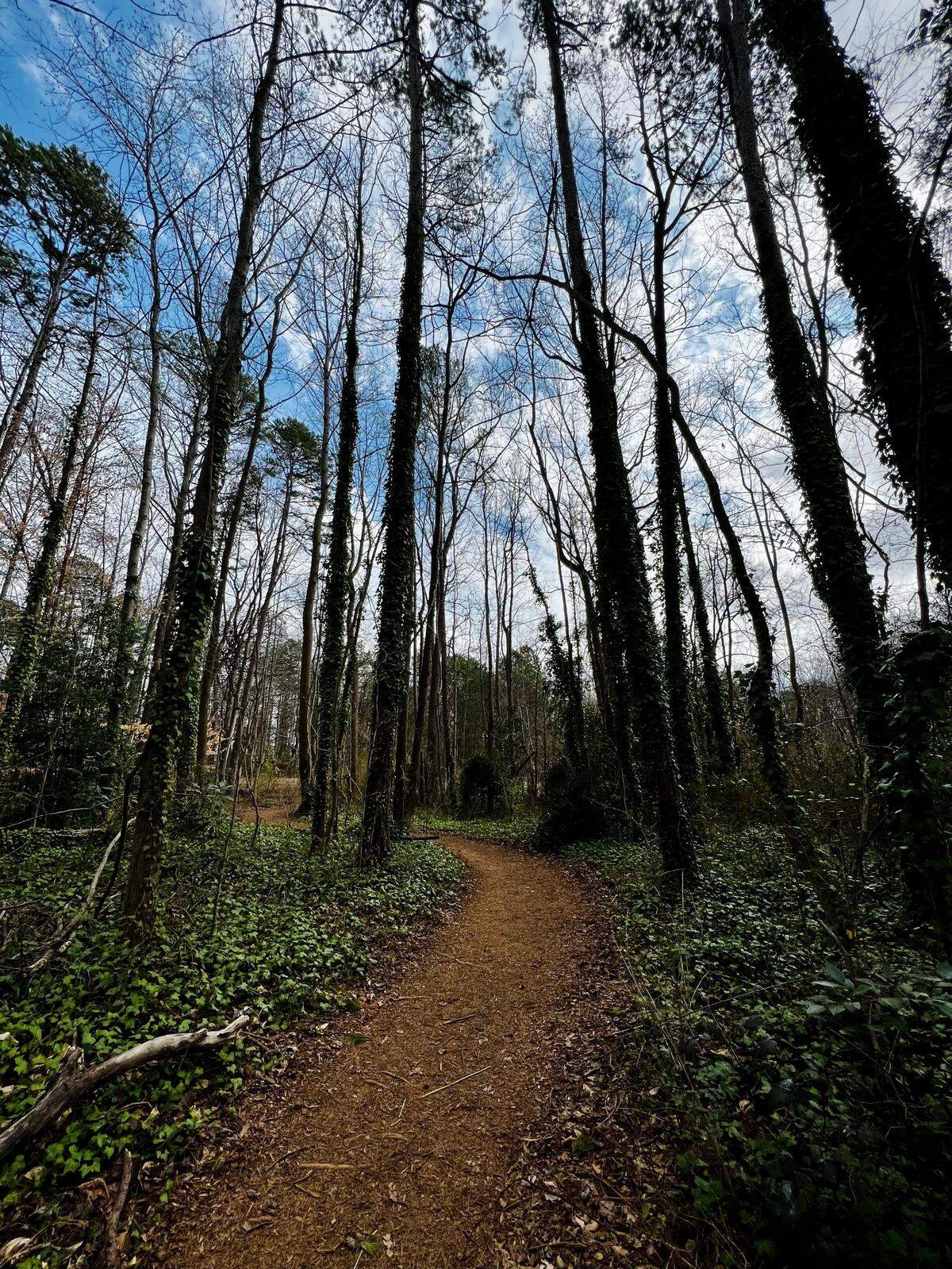 Lauren Lindstrom heads to Evergreen Nature Preserve when she needs a break from her neighborhood’s sidewalks.