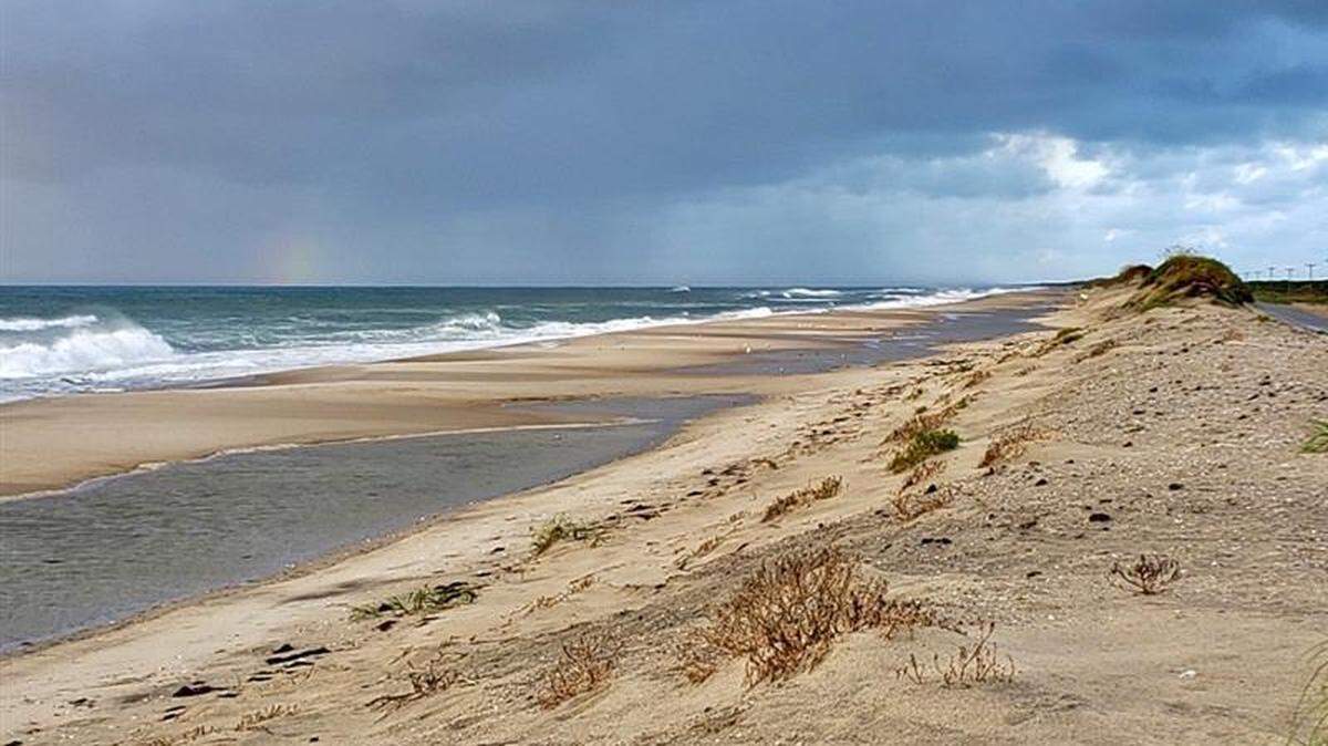 The turtle appeared off the northern Outer Banks on Dec. 2 had traveled about 75 miles south to the Salvo as of Dec. 7, tracking shows. 