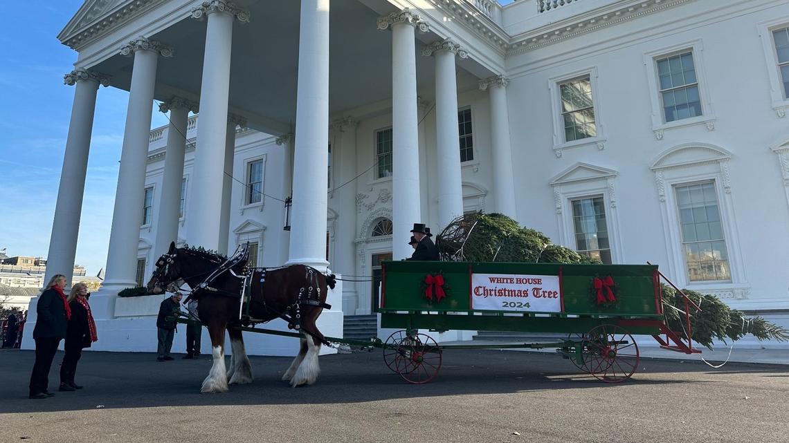 First Lady Jill Biden prepares White House for Christmas season with an NC twist