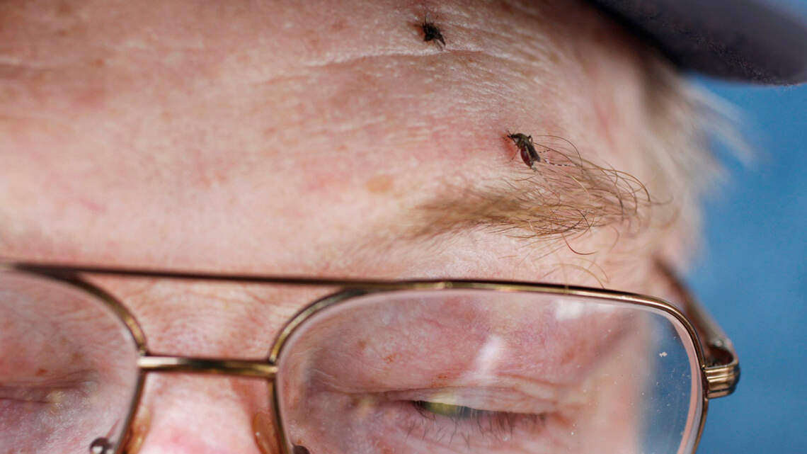 Ticks, mosquitos and chiggers are out in NC. Here’s how to protect yourself