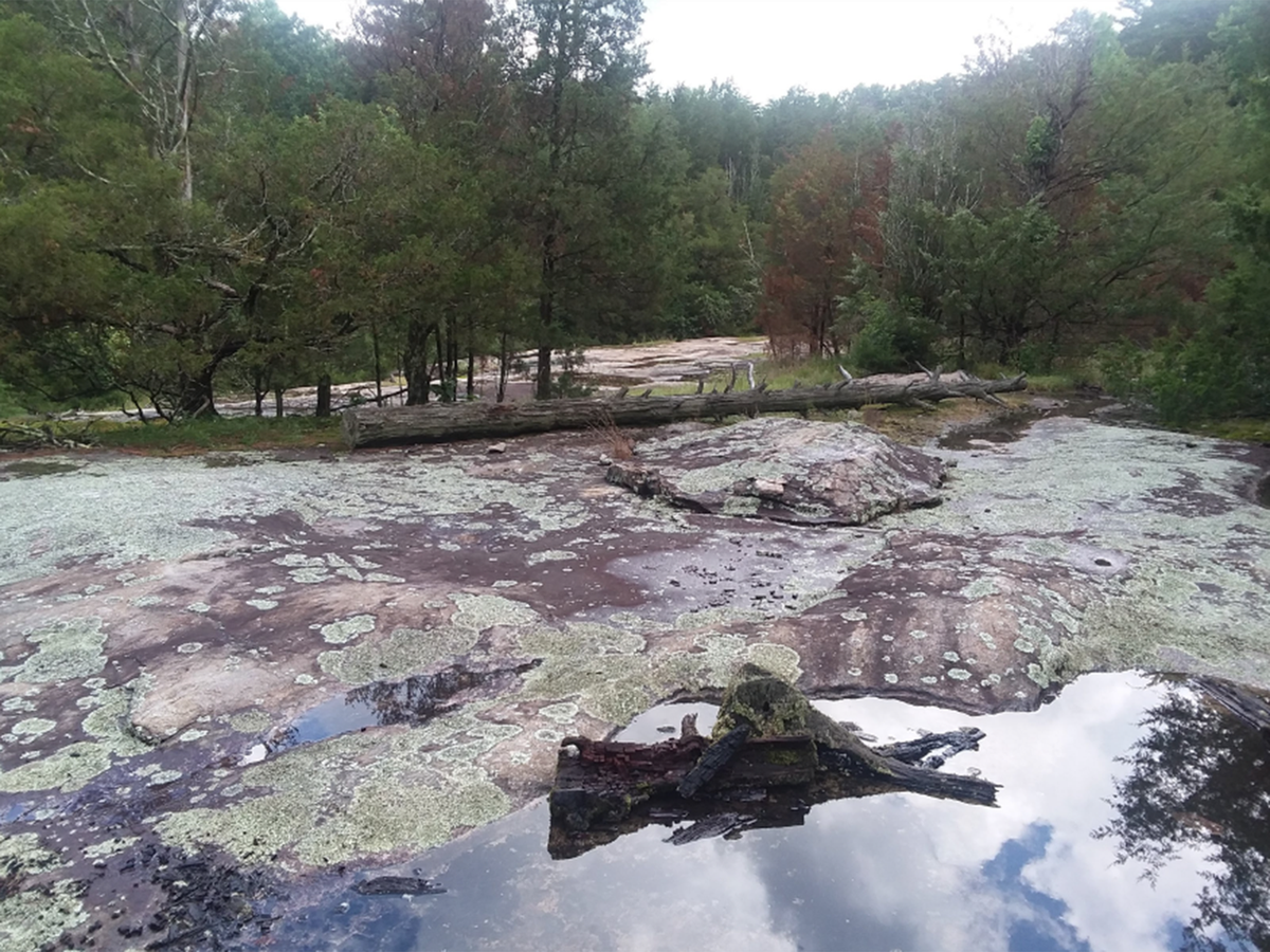 The site has been largely missed by the public due to being hidden in woods and “sitting almost level with the surrounding landscape,” according to Will Ruark, Land Conservation Director for Catawba Lands Conservancy.