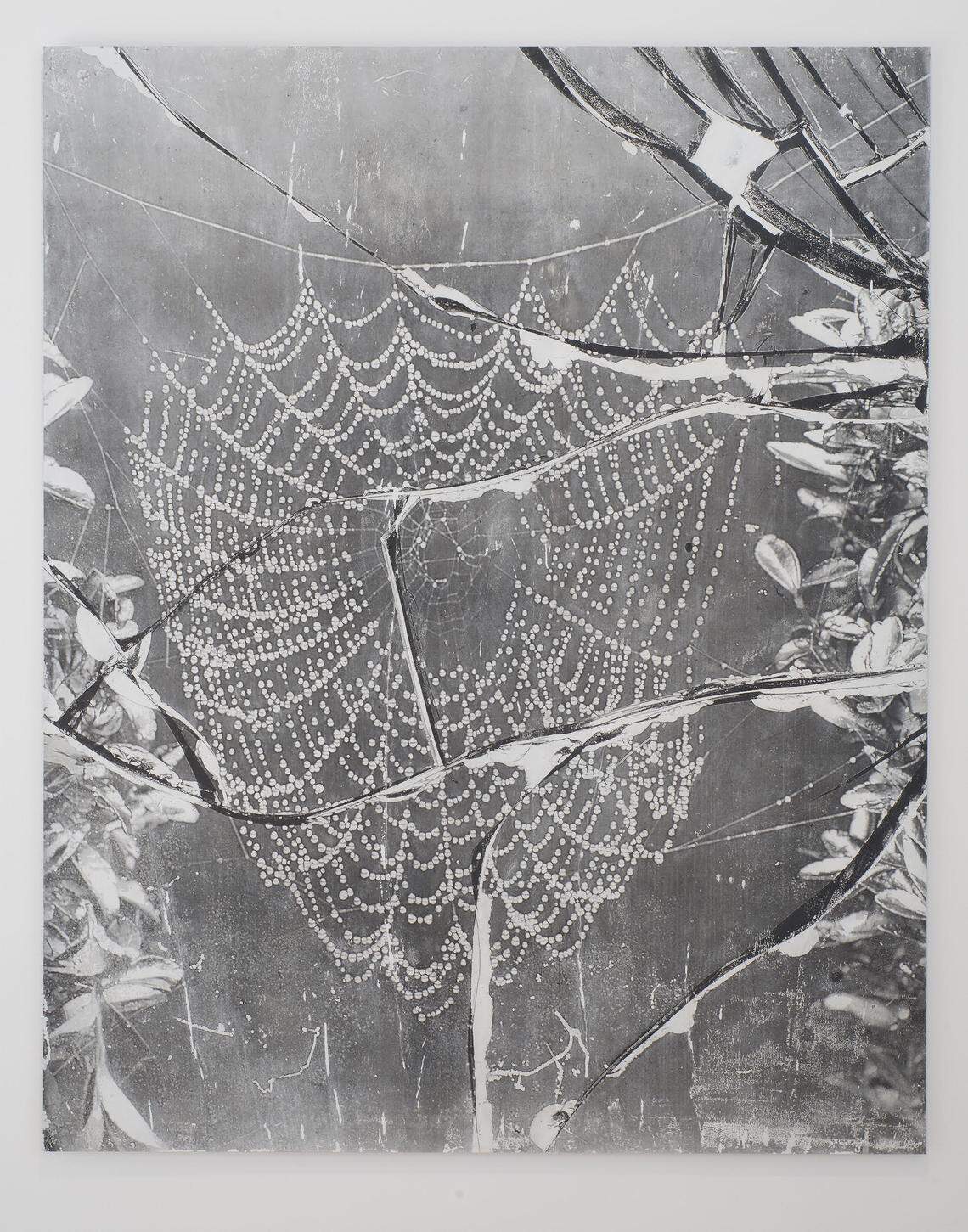 This 2016 work by Harold Mendez is called “At night we walk in circles.” This image of a dew-dropped spider web draws the viewer in. The viewer then becomes the body the work needs - the prey to be caught in the web - completing the work.