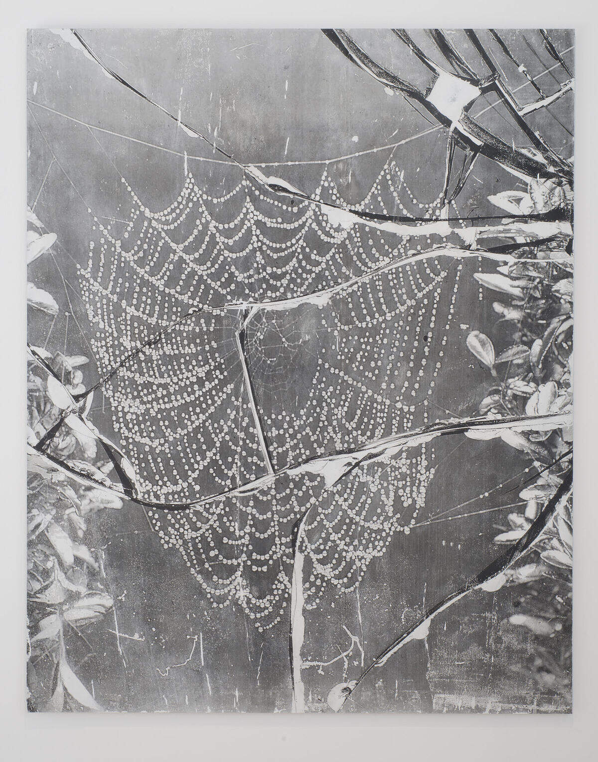 This 2016 work by Harold Mendez is called “At night we walk in circles.” This image of a dew-dropped spider web draws the viewer in. The viewer then becomes the body the work needs - the prey to be caught in the web - completing the work.