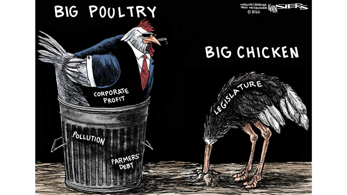 Kevin Siers: Fowl play in North Carolina