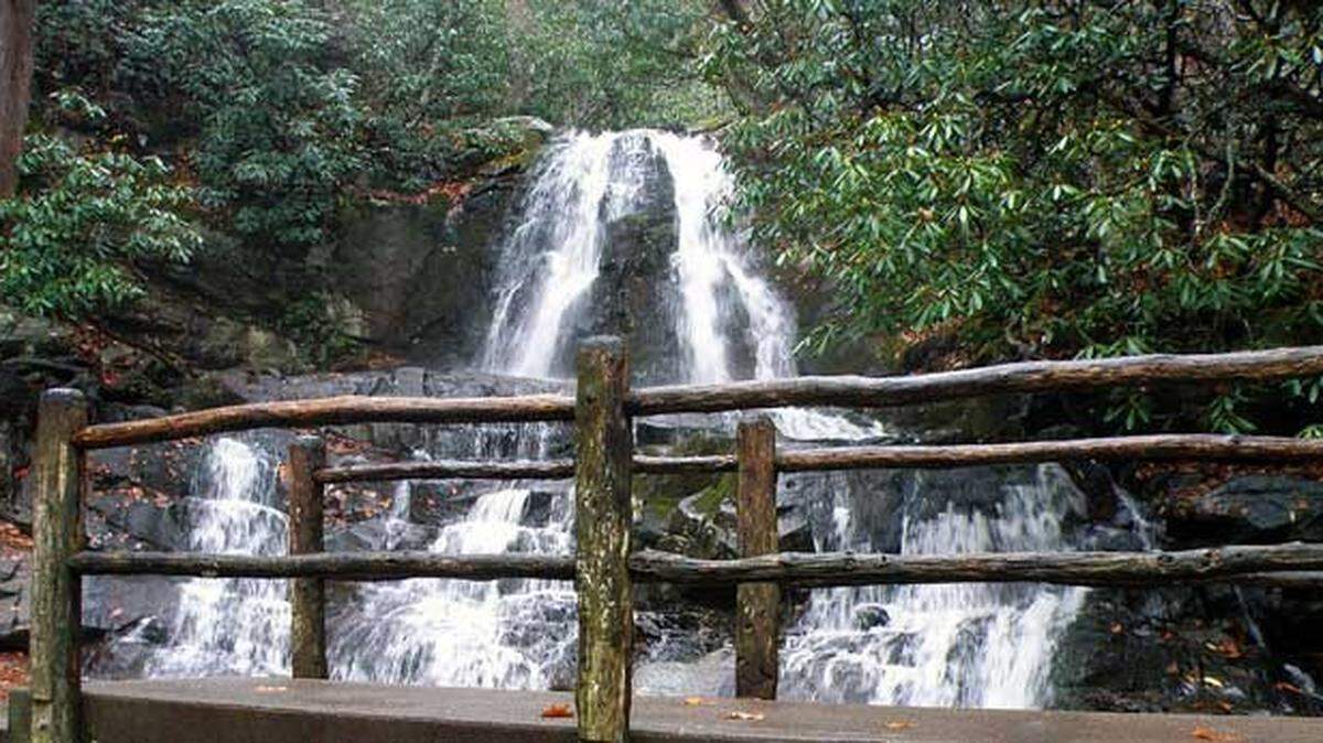 A 63-year-old Florida woman was alert after falling 40 feet at popular Laurel Falls in Great Smoky Mountains National Park on Monday, a parks spokeswoman said.