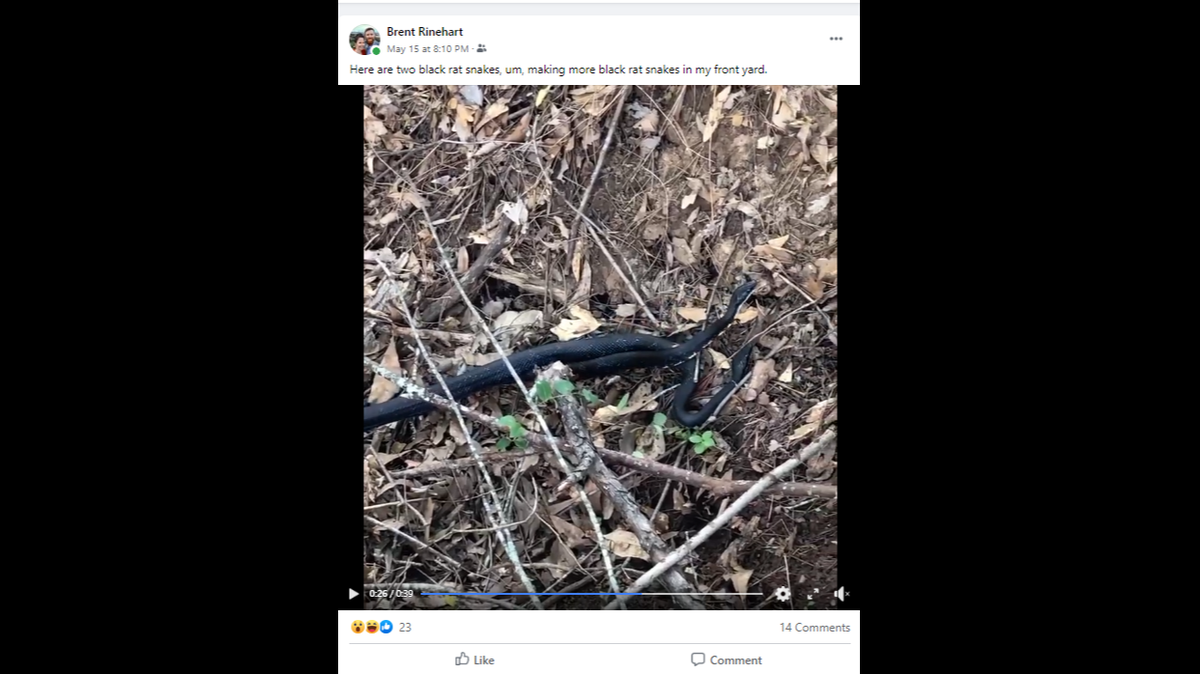 Brent Rinehart shared this video on Facebook, where it became a source of humor over the weekend.