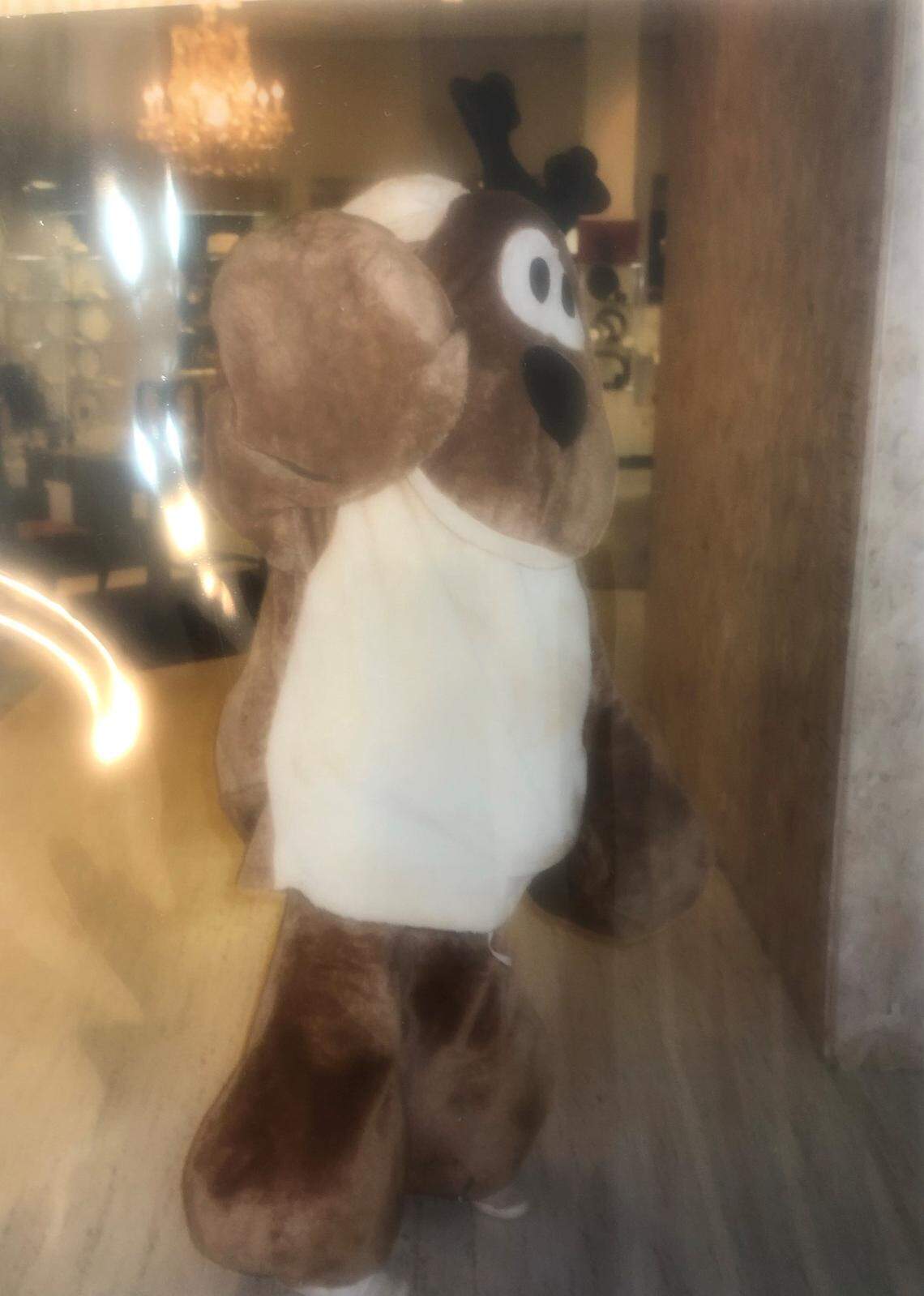 Tricia Jetton of Charlotte dressed as Belk’s Rodney the Reindeer during the 1985 holiday season to greet children.