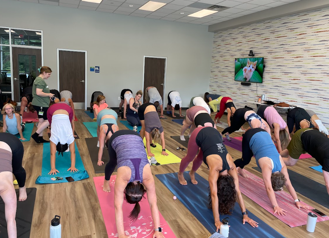 There are multiple cat yoga classes offered this summer and fall.