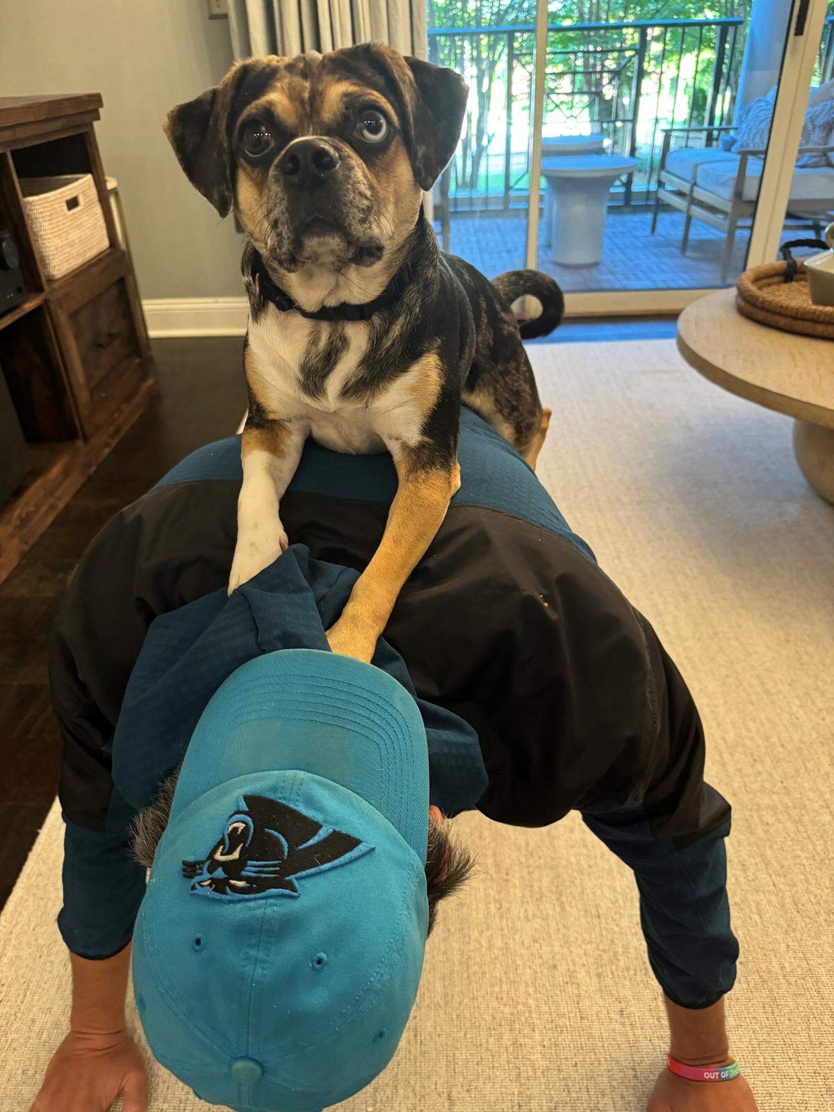Milo was named a finalist in The Charlotte Observer’s “cutest dog in Charlotte” contest in fall 2024.