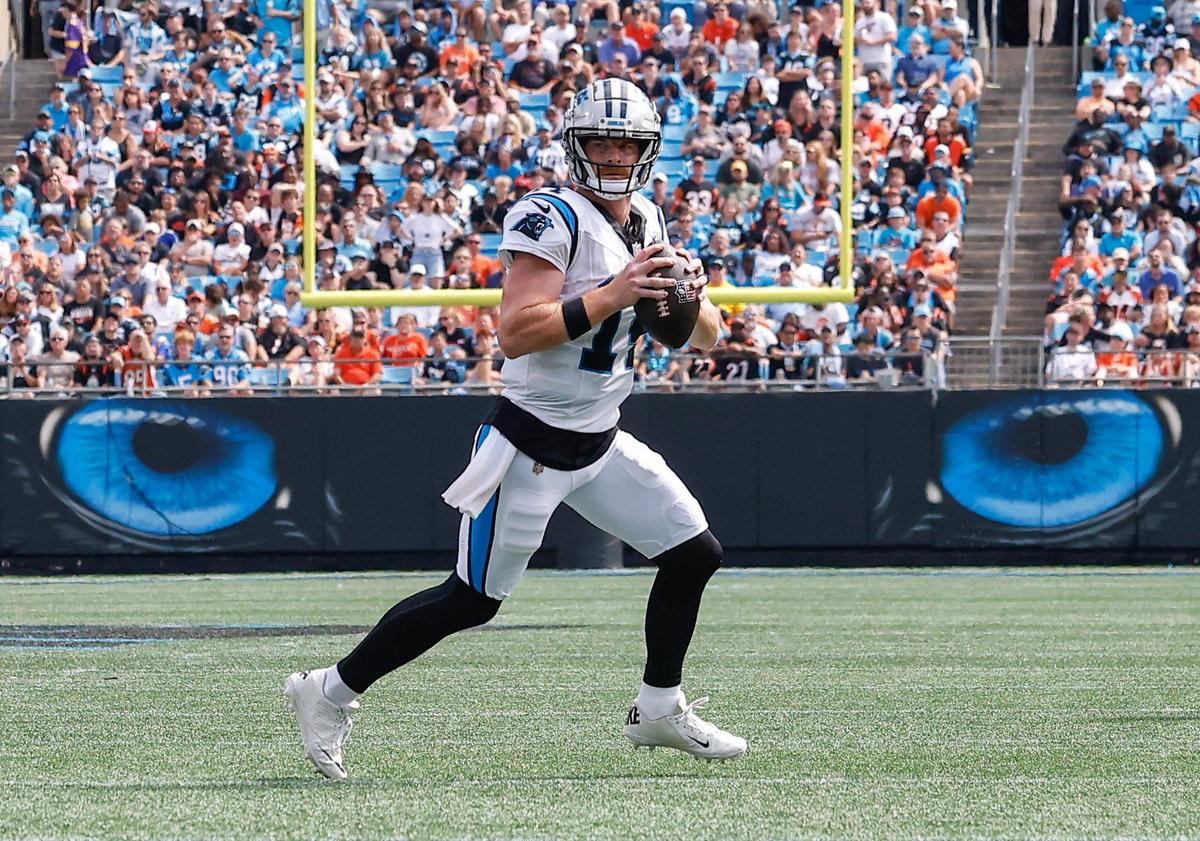 Panthers quarterback Andy Dalton scans the field for a pass during the game against the Bengals at Bank of America stadium in Charlotte, NC on Sunday, September 29, 2024.