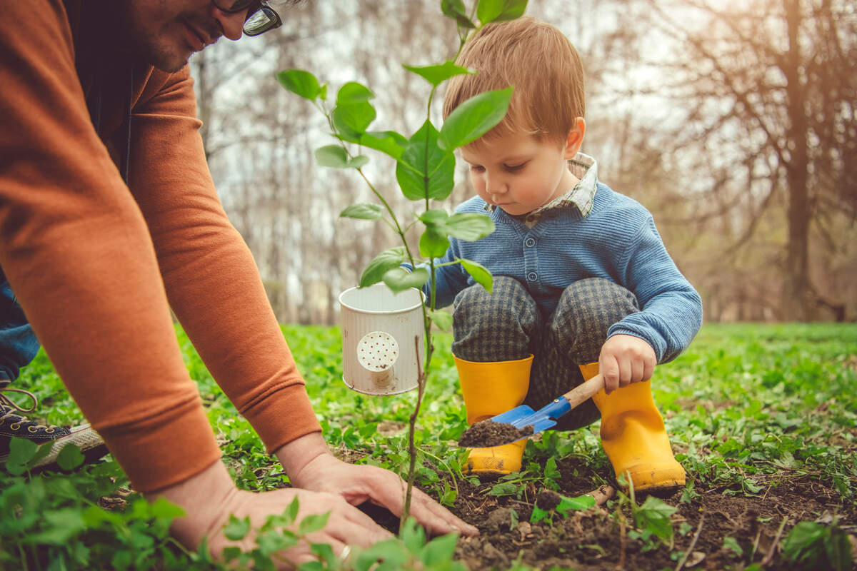 To celebrate Earth Day and Earth Week 2020 in Charlotte, restaurants and breweries are giving away free tree seedlings with takeout purchases during the coronavirus COVID-19 pandemic.