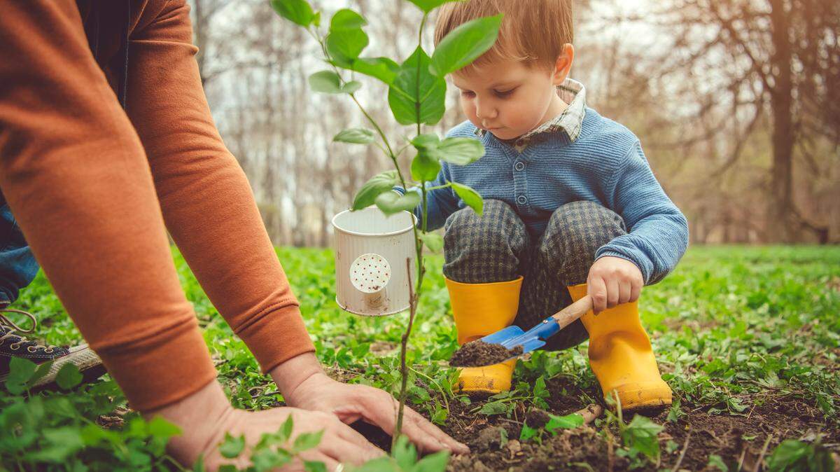 To celebrate Earth Day and Earth Week 2020 in Charlotte, restaurants and breweries are giving away free tree seedlings with takeout purchases during the coronavirus COVID-19 pandemic.