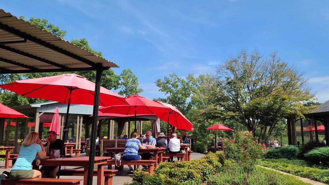 Sip on your next day trip: 25+ wineries & vineyards within 2 hours of Charlotte