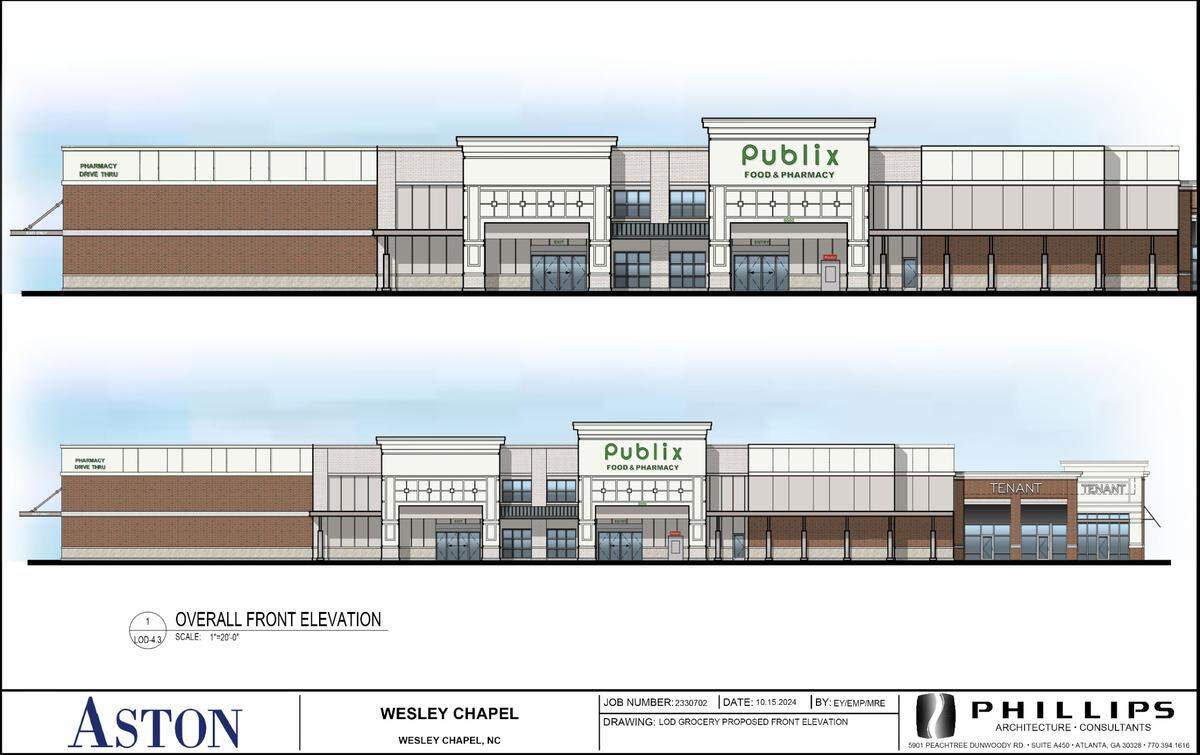 A 50,325-square-foot Publix store is planned at Village Commons in Wesley Chapel.