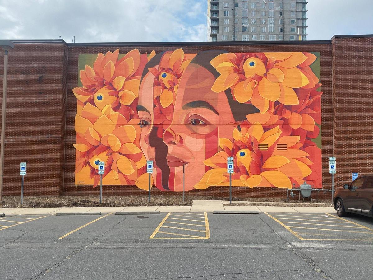 Mural at 618 N. College Street by Gleo, 2019