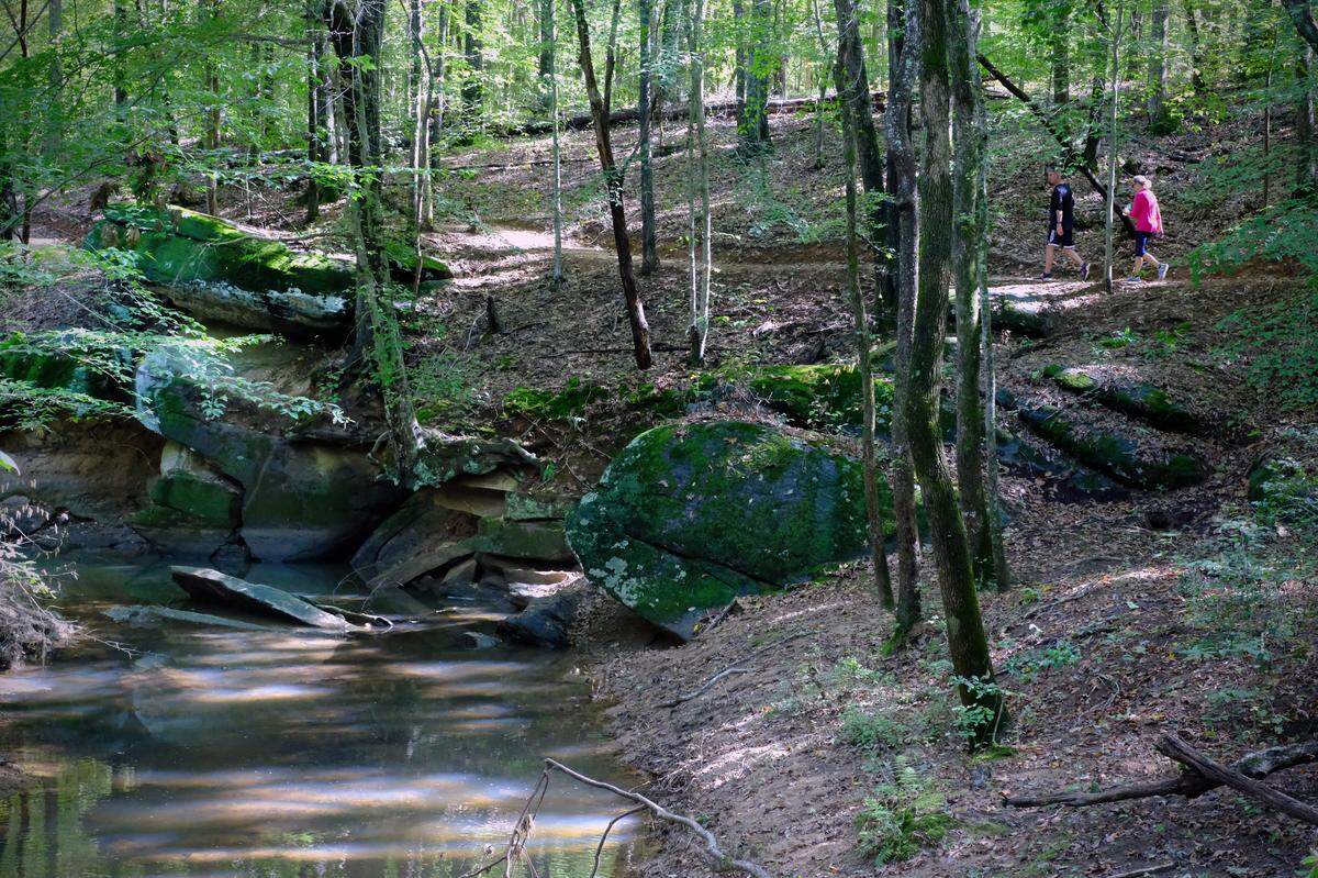 Hikers enjoy the Lake Welchel Trail alongside Allison Creek.