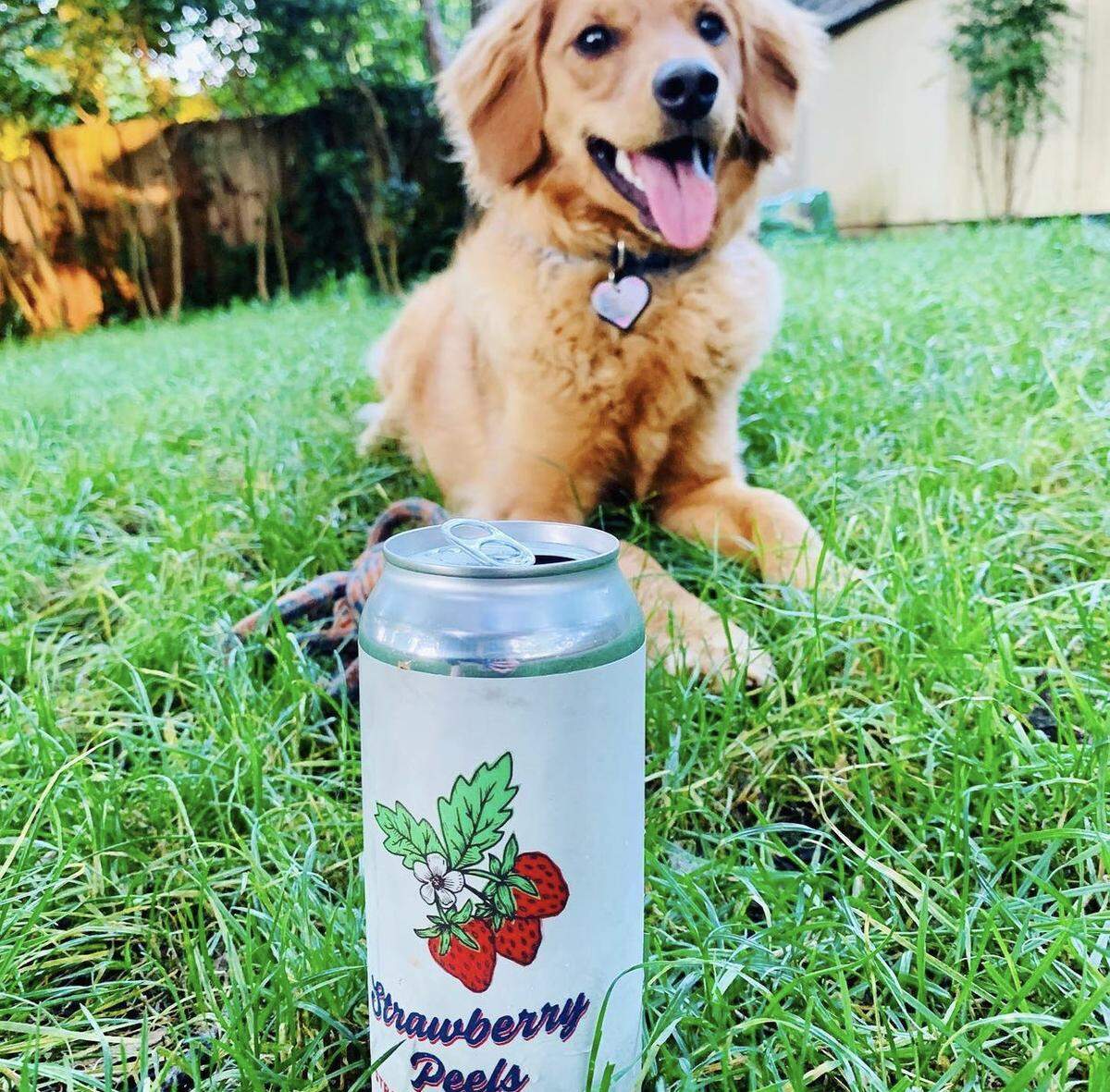 Order the seasonal Strawberry Peels beer from Legion Brewing.