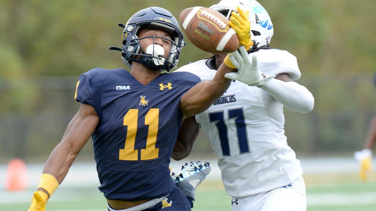 JCSU wide receiver, #11, Brevin Caldwell, is unable to haul in a late first half pass. He was defended by FSU’s #11, Beni Mukulu. Fayetteville State dominated Johnson C. Smith leading 14-0 by the end of the first half. The Johnson C. Smith University Golden Bulls hosted the Fayetteville State Broncos on Senior Day in their final regular season home game at Irwin Belk Complex in Charlotte on Saturday, Nov. 2, 2024. The Golden Bulls went into the matchup with a perfect 6-0 record while the Broncos sat at 3-4 overall including a two-game losing streak in their last pair of tilts.