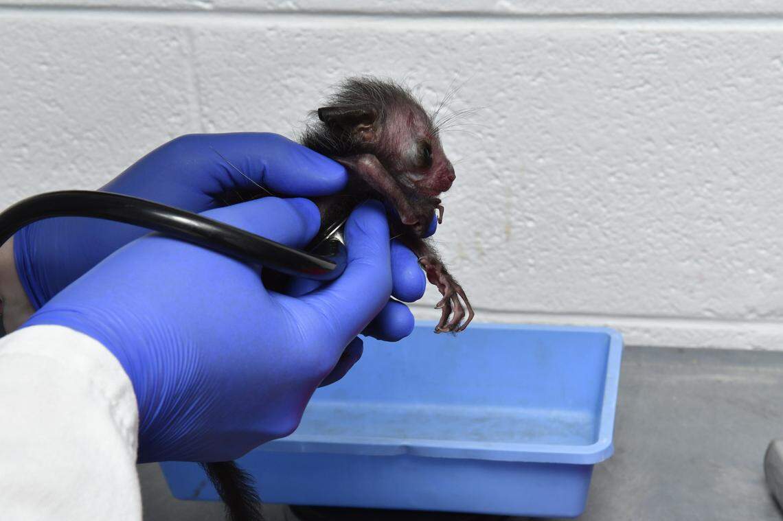 Melisandre was born between 9:00 p.m. and 11:00 p.m. Aug. 13, 2019.