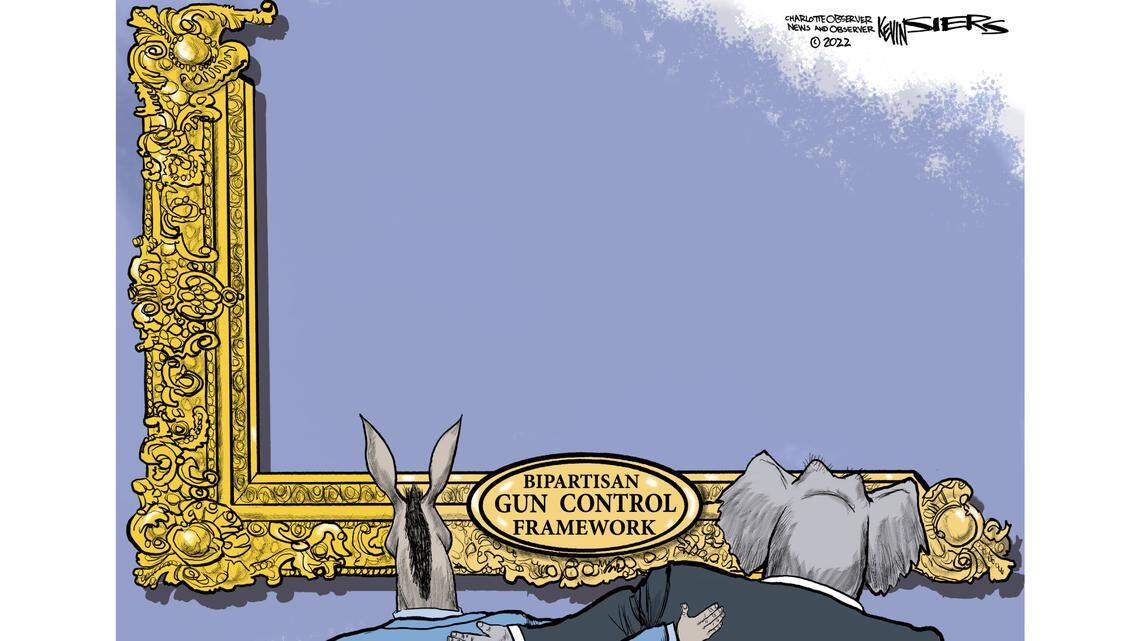 Kevin Siers: Picturing the gun control bill