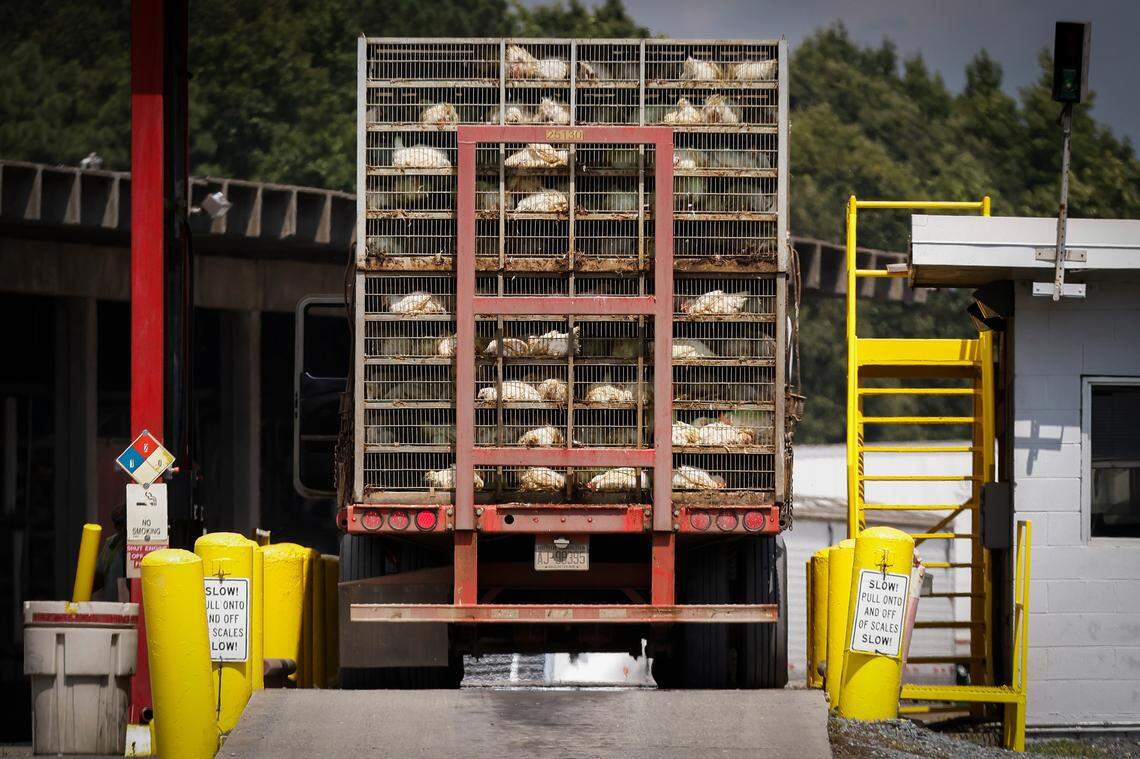 A truck carrying live chickens arrives for processing at the Tyson Foods plant in Monroe.