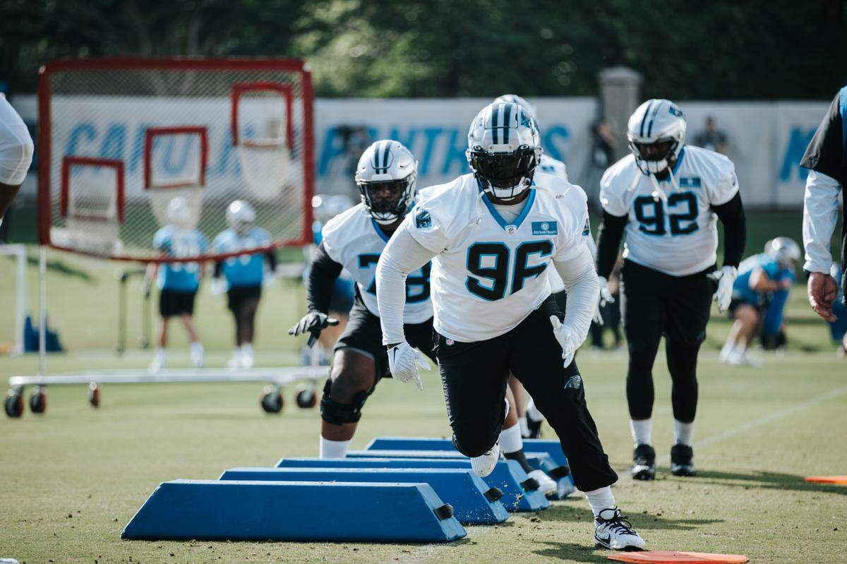 Former Clemson standout DeShawn Williams played with the Bengals and Broncos before joining the Panthers during the offseason.