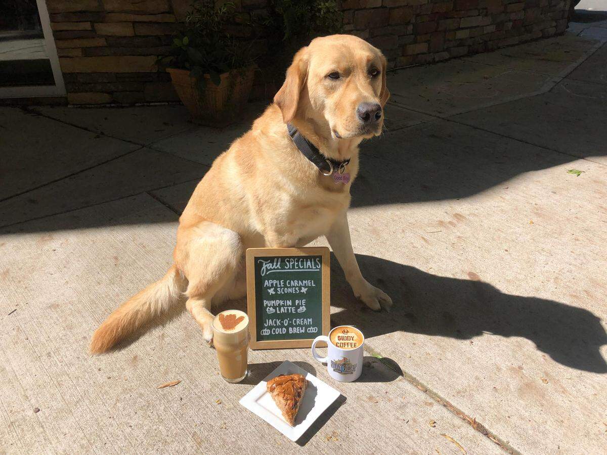 Order a Pumpkin Pie Latte with an Apple Caramel Scone from The Giddy Goat Coffee Roasters.