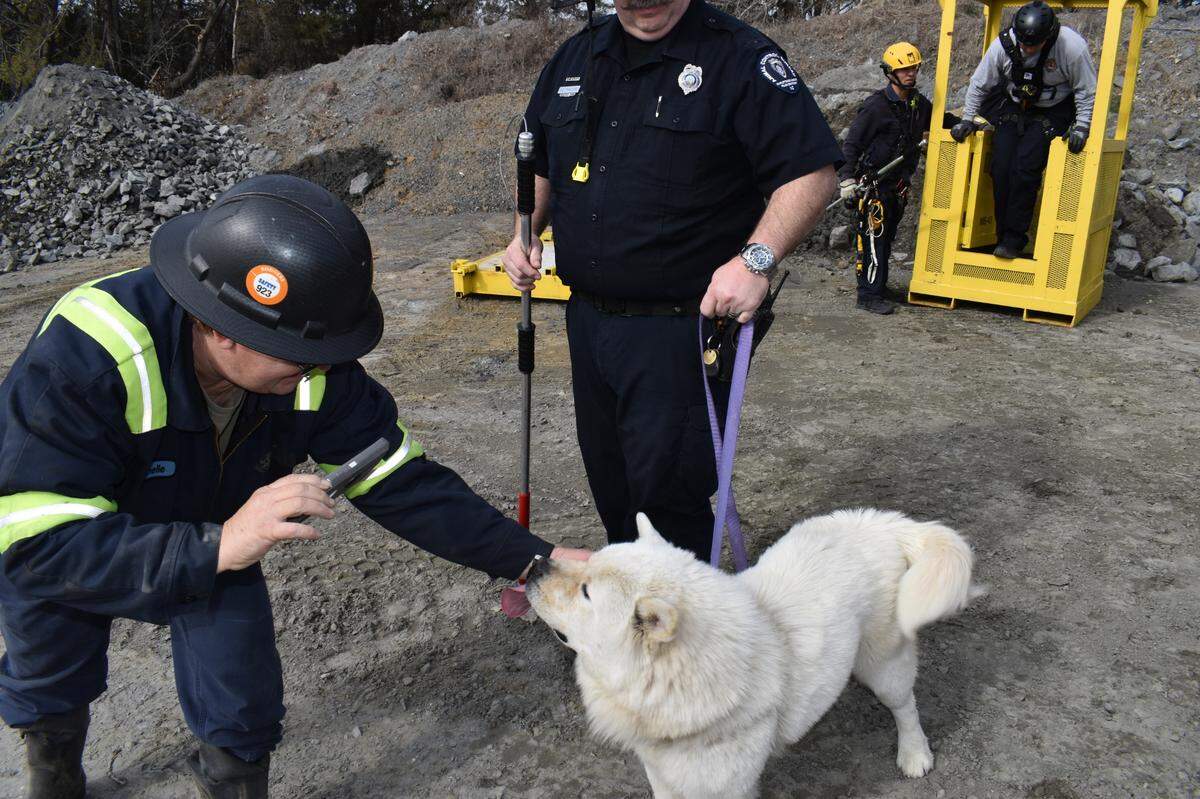 Charlotte Fire and CMPD Animal Care and Control worked together to rescue a 1-year-old husky and pit bull mix named Zeus Wednesday who was stuck in a quarry for days.